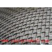 Com baixo preço galvanizado Square Wire Mesh Anping alta qualidade